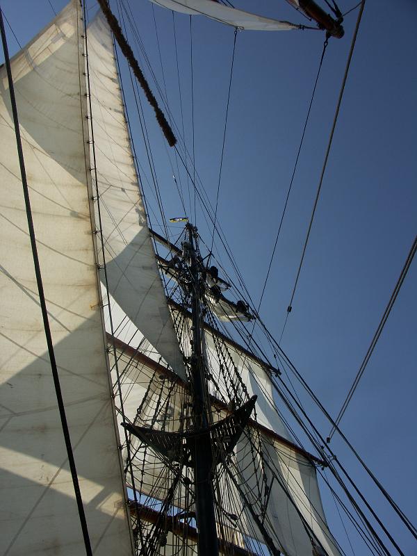 080508_Roald_Amundsen 297.jpg